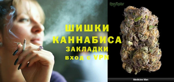 PSILOCYBIN Волосово