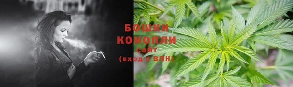 PSILOCYBIN Волосово
