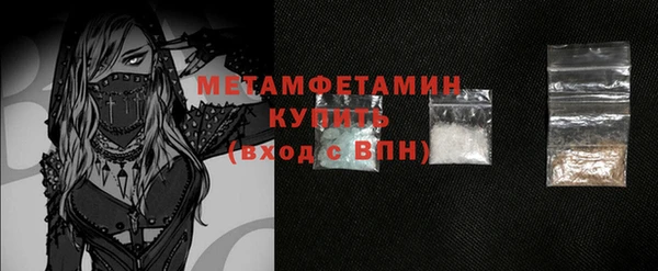 PSILOCYBIN Волосово