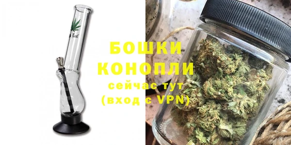 PSILOCYBIN Волосово